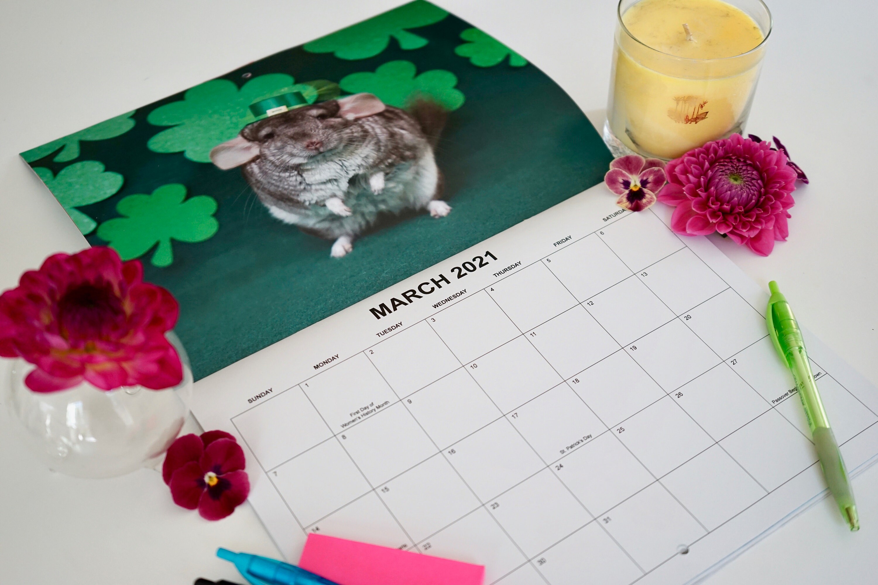 2021 Chinchilla Calendar 12 Month Calendar 11 x 8.5 Wall Etsy