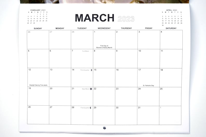 2023 Chinchilla Calendar 12 Month Calendar 11 X 8.5 Wall Etsy Canada