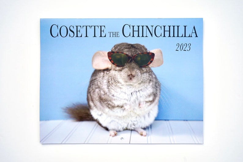 2023 Chinchilla Calendar 12 Month Calendar 11 X 8.5 Wall Etsy Canada