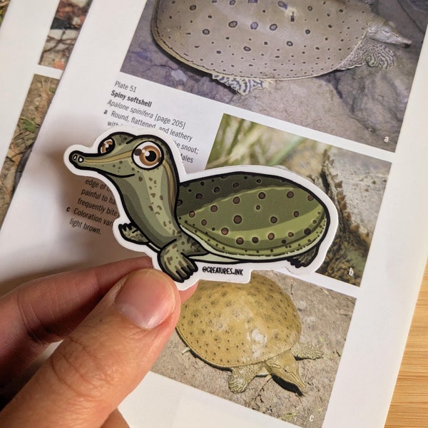 Spiny Softshell Turtle Sticker | Cute Waterproof Vinyl Decal for Laptops, Water Bottles, Phone Cases | Dishwasher-Safe | Animal Lover Gift