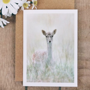 May include: A greeting card with a soft, artistic image of a young deer in long grass. The deer has pale fur and is looking directly at the viewer. The card is on a wooden surface with daisies and a brown envelope.
