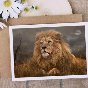 Carte lion, carte grand félin, carte amoureux des lions, carte faune, carte vierge, carte de voeux, carte d'anniversaire, carte beaux-arts, carte animal, faune