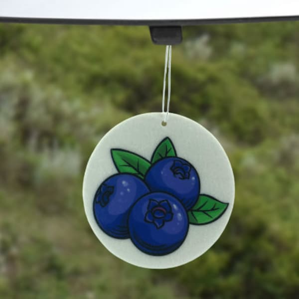 Blueberry Birthday Etsy