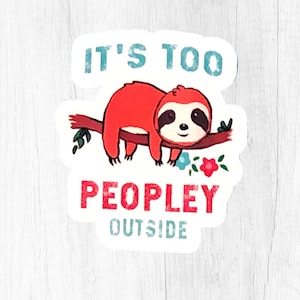 Stickers paresseux pour femmes, stickers pour adultes, bas de Noël pour ados, cadeau secret père noël, cadeau de Noël pour meilleur ami, stickers rigolos