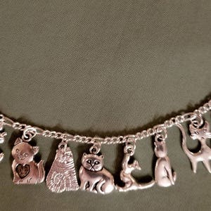 May include: A silver charm bracelet with multiple cat charms. The charms include a cat in a basket, a cat with a heart, a cat with a fish, a cat with a bell, and a cat with a paw print. The bracelet is made of a silver chain and has a lobster clasp.