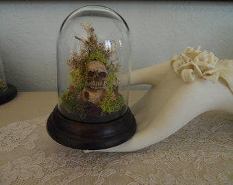 Small Glass Dome Cloche Pile of Little Skulls Dried Moss Macabre Decor Curiosity Memento Mori Spooky Bell Jar