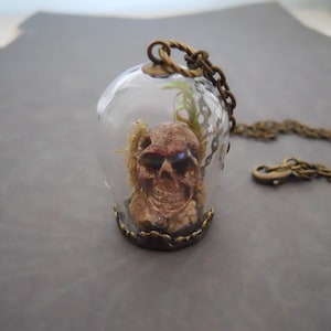 Tiny Skull in Glass Cloche Dome Pendant Necklace on Chain Antiqued Brass Bronze Macabre Curiosity Memento Mori