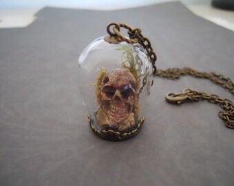 Tiny Skull in Glass Cloche Dome Pendant Necklace on Chain Antiqued Brass Bronze Macabre Curiosity Memento Mori
