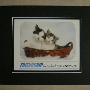 Mini póster fotográfico a color con pensamiento inspirador de AMISTAD y foto de gato