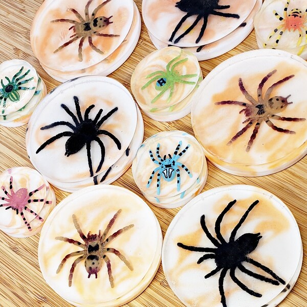 NEW! Spider Soap Surprise | Toy Inside Soap