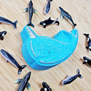 Toy Inside! Sea Animal Bath Bombs | Fishy Friend Crab Seahorse Seashell | Surprise Toy Inside | Bath Bombs for Kids Narwhal Whale