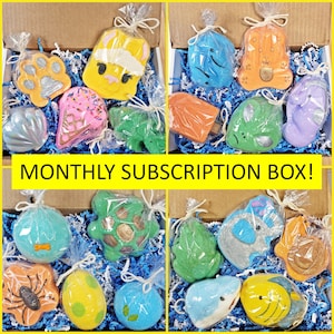 Bath Bombs with Surprise Toys Inside | Monthly Subscription Boxes | Choose Your Duration