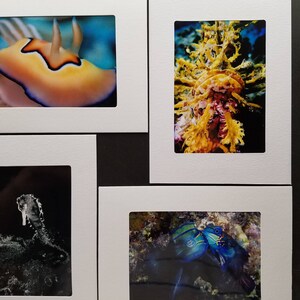 Fotokarten, Unterwasser-Sammlung 3