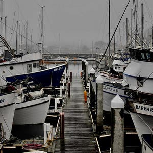 Pillar Point Morning
