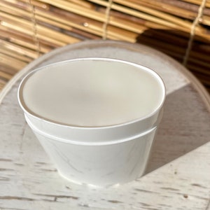May include: A white plastic container with a white lid. The container is filled with a white, creamy substance.