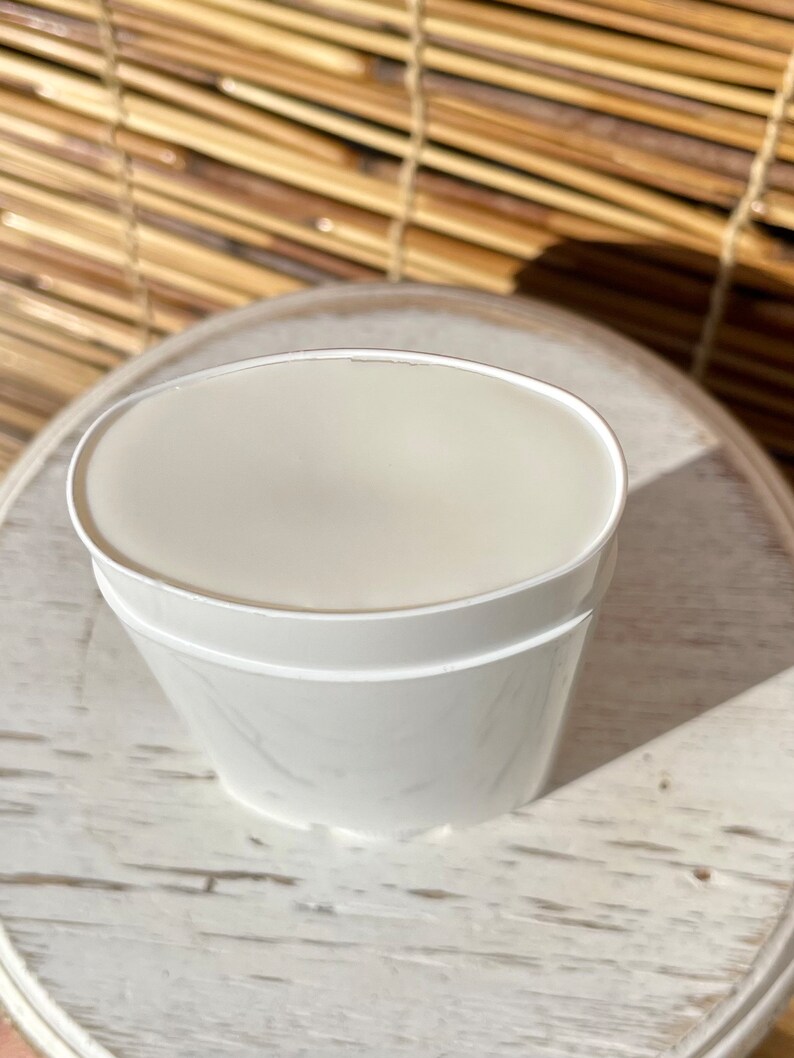 May include: A white plastic container with a white lid. The container is filled with a white, creamy substance.