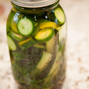 Organic Homemade Dill Pickles