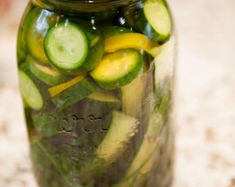 Organic Homemade Dill Pickles