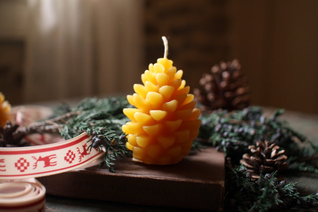 Beeswax Pine Cone Candle - Etsy