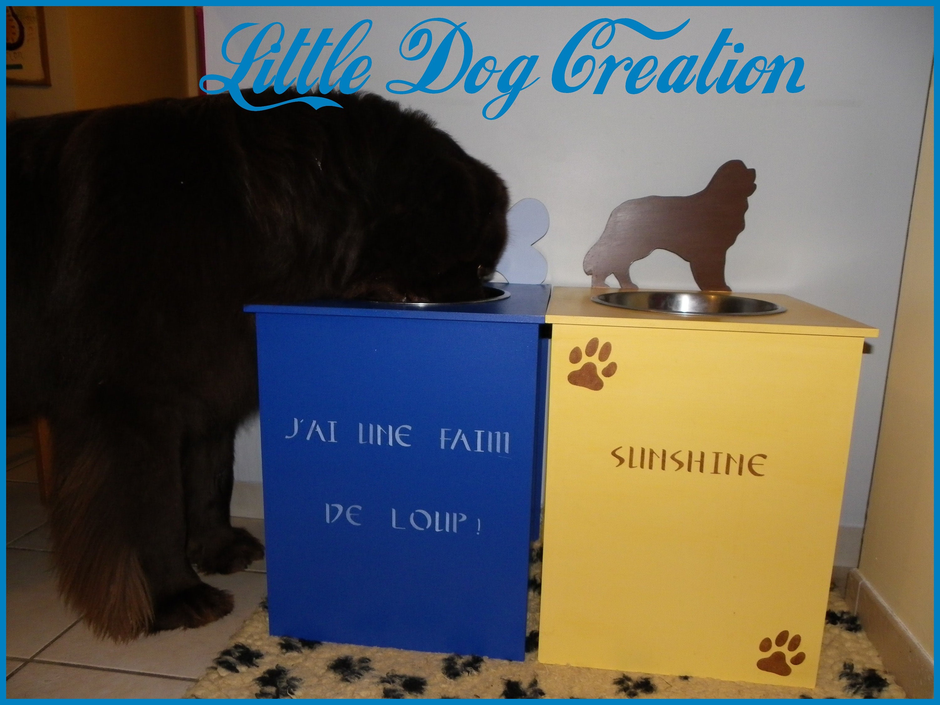 Support Gamelle Pour Animal de Compagnie, Personnalisable, Couleur Au Choix