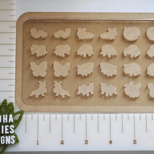 May include: A collection of small, light brown animal-shaped cutouts arranged in a rectangular tray. The cutouts include various creatures like butterflies, bugs, and other animals. The tray is placed on a white surface with a ruler and the text "BUDDHA BUDDIES DESIGNS".