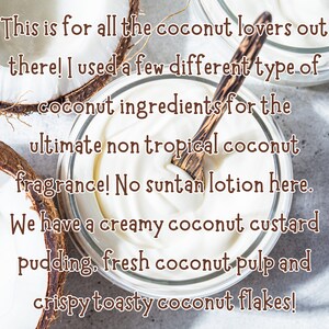 May include: A close-up of a clear glass bowl filled with a creamy white coconut custard pudding. The bowl is on a light gray surface with a wooden spoon and pieces of coconut shell.