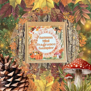 May include: A square cardboard box featuring a label with the text Autumn Mini Fragrance Sampler, an orange cat, a pumpkin, and a red mushroom, all framed by an intricate circular design on a background of autumn leaves and tree bark.
