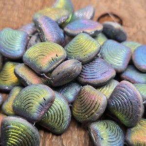 Puede incluir: Un montón de cuentas iridiscentes en forma de concha. Las cuentas tienen una superficie texturizada con líneas grabadas y un degradado de color de azules, verdes y morados. Estas cuentas son ideales para la fabricación de joyas y manualidades.