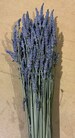 SALE Lavender Dried 2.5 oz bunch 200 Stems bundle Fragrant bouquets crafts weddings Grosso English bundle best seller Mother's Day 