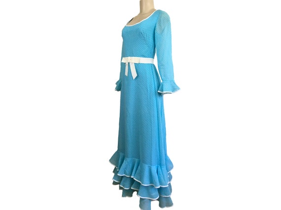 Vintage 1970s Maxi Dress Hostess Full Length Prai… - image 5