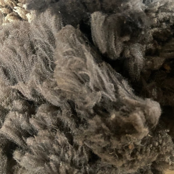 Natural black Rambouillet (French Merino) Wool