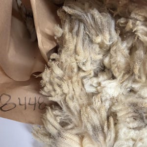 May include: A large mass of raw, off-white sheep wool with visible natural texture and crimp, bundled alongside a piece of brown paper packaging that features the handwritten number 8448 in black ink on its surface.