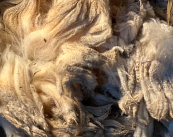 Super Premium French Merino (Rambouillet) Wool