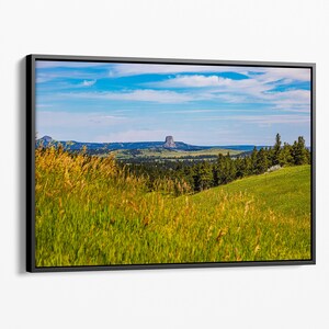 May include: A panoramic view of a grassy field with a distant rock formation rising from the horizon. The sky is blue with white clouds. The field is green and yellow with tall grass.