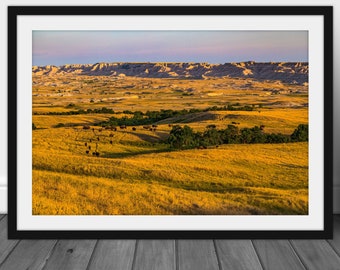Badlands landscape photography print, buffalo wall art photography