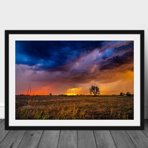 Peut inclure: Un coucher de soleil spectaculaire sur un champ avec un seul arbre en silhouette contre le ciel orange et jaune. Des nuages d'orage sombres planent au-dessus, créant une impression de pluie imminente.