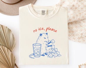 Possum No ICE Please T-Shirt, Vintage Protest Graphic Tee