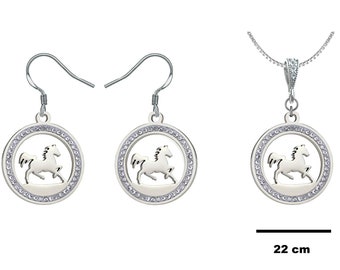 Paard in een cirkel van lichtjes, oorbellen, halsketting of roestvrijstalen versiering, beugel, clip en ketting naar keuze