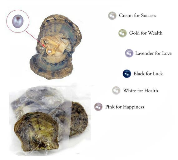 Collier Fleur De Lotus Cage Avec Huître Contenant 1 Perle Deau Douce 3 En 1