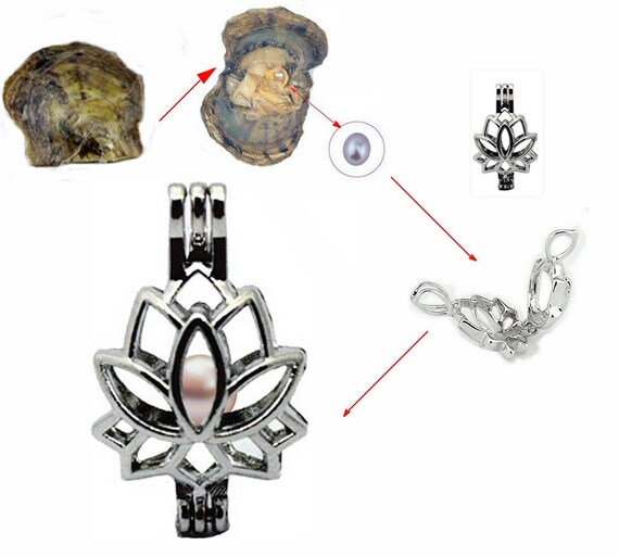 Collier Fleur De Lotus Cage Avec Huître Contenant 1 Perle Deau Douce 3 En 1