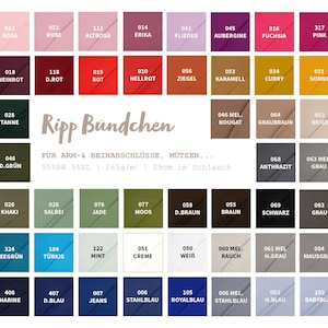 Könnte beinhalten: Farbmusterkarte mit einer Vielzahl von Stofffarben, darunter Rosa-, Rot-, Grün-, Blau- und Neutraltöne. Die Karte enthält Farbnamen und -nummern, mit dem Text "Ripp Bündchen". Der Stoff ist 29 cm im Schlauch.