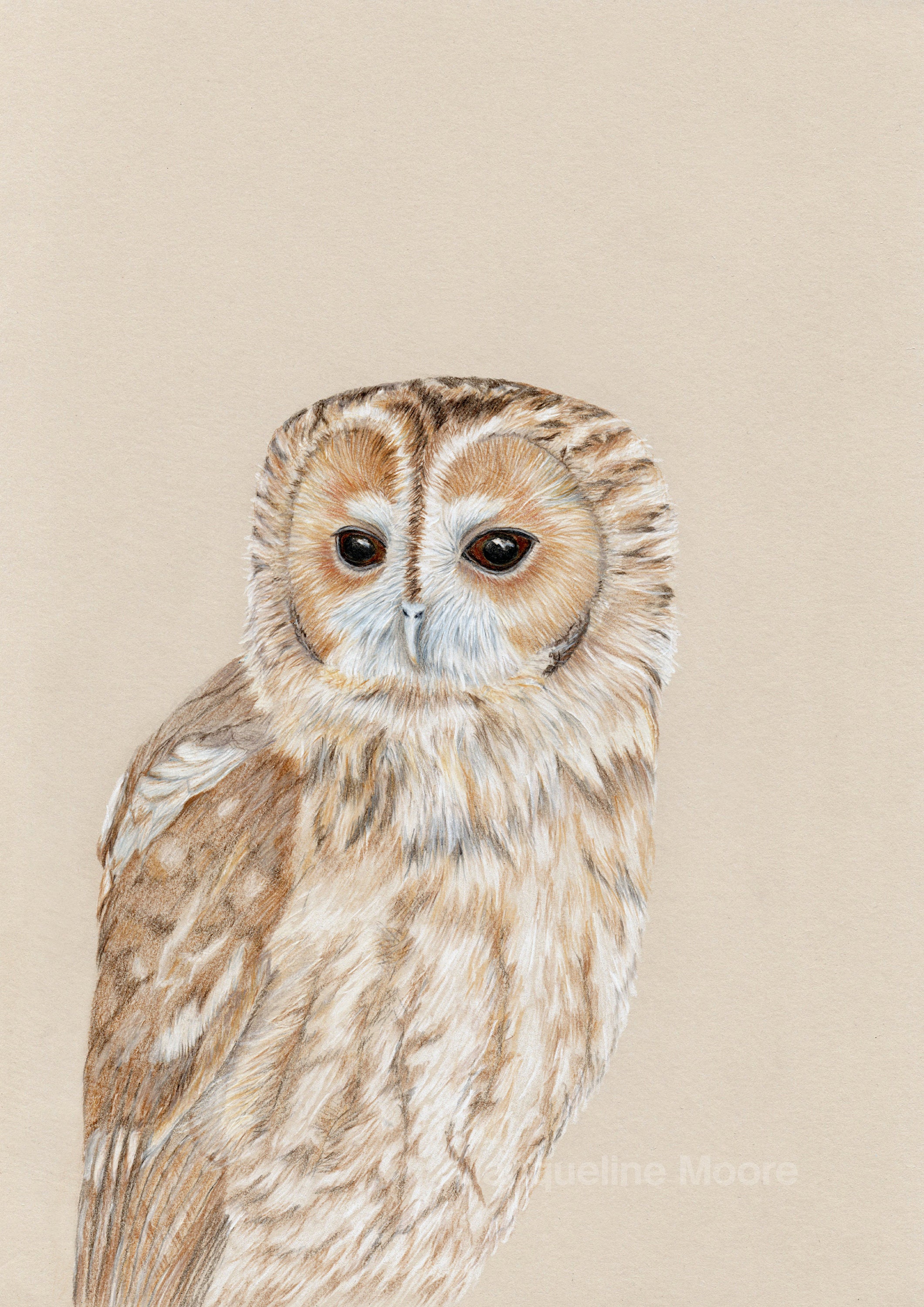 Owl Print Owl picture A4 Print Wall Art Owl drawing A4 | Etsy