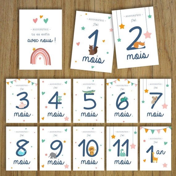 16 Cartes étapes Bébé Rose - De La Naissance à 1 An Avec Boîte Kraft - Cadeau Naissance Original
