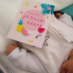 May include: A pink card with a flamingo, watermelon, pineapple, and the text 'Aujourd'hui je suis née'.