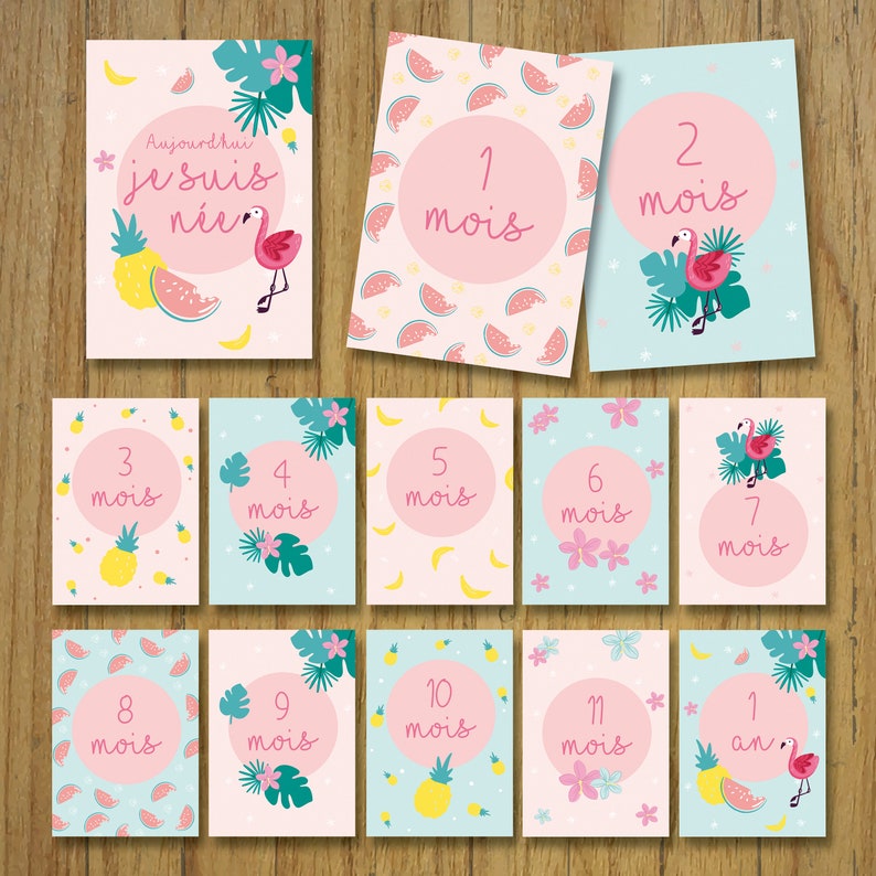 May include: Twelve pink and blue baby milestone cards with a tropical theme. The cards feature illustrations of pineapples, watermelons, flamingos, and palm leaves. The cards are numbered 1 through 12, with the last card reading '1 an.' Each card has the word 'mois' which means 'month' in French.