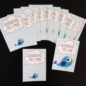 Cartes étapes bébé, cadeau naissance, mois par mois, garçon, fille
