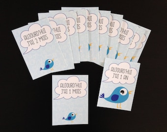 Baby milestone cards, birth gift, month by month, boy, girl