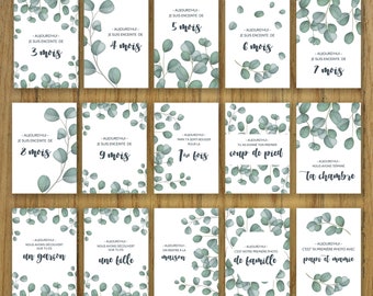 Cartes étapes grossesse – 15 cartes mois par mois – Thème eucalyptus – Cadeau future maman