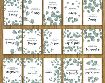 Cartes étapes grossesse, mois par mois, eucalyptus nature, cartes bébé, naissance, cadeau