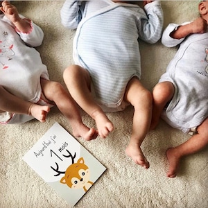 Cartões de marcos do bebê, mês a mês, animais, presente de nascimento, panda, raposa… imagem 2